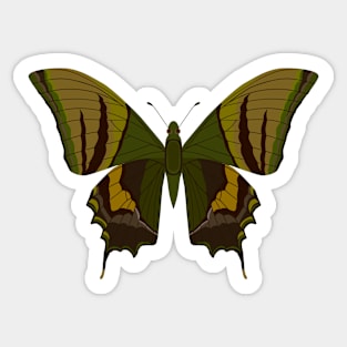 beautiful butterfly Sticker